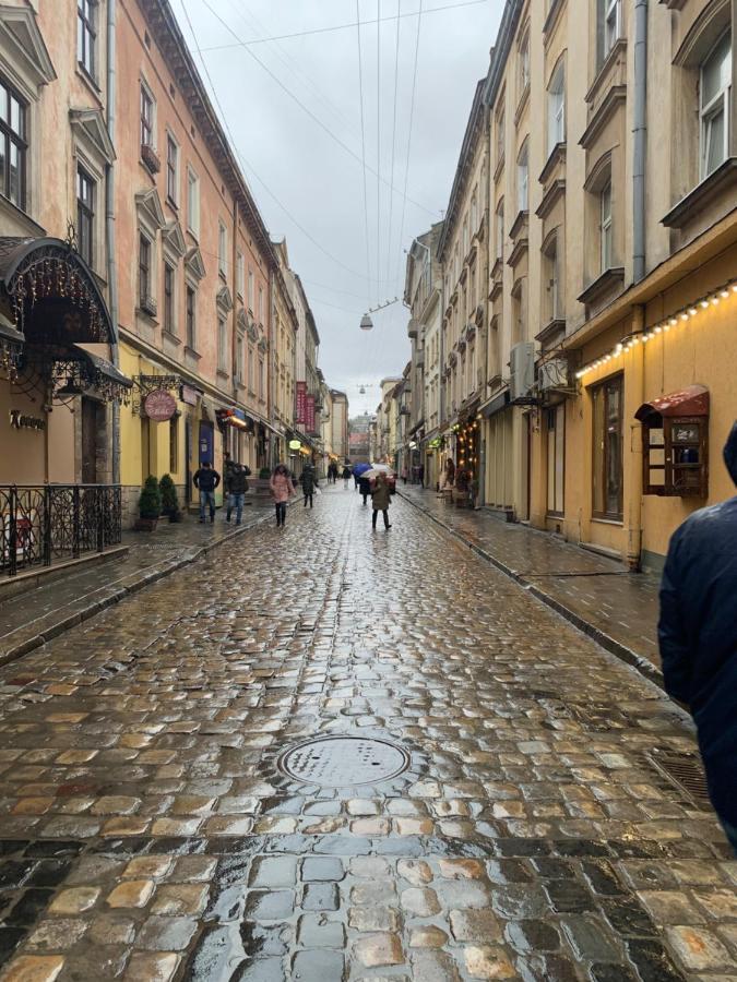 Mary Apartment Lviv Bagian luar foto