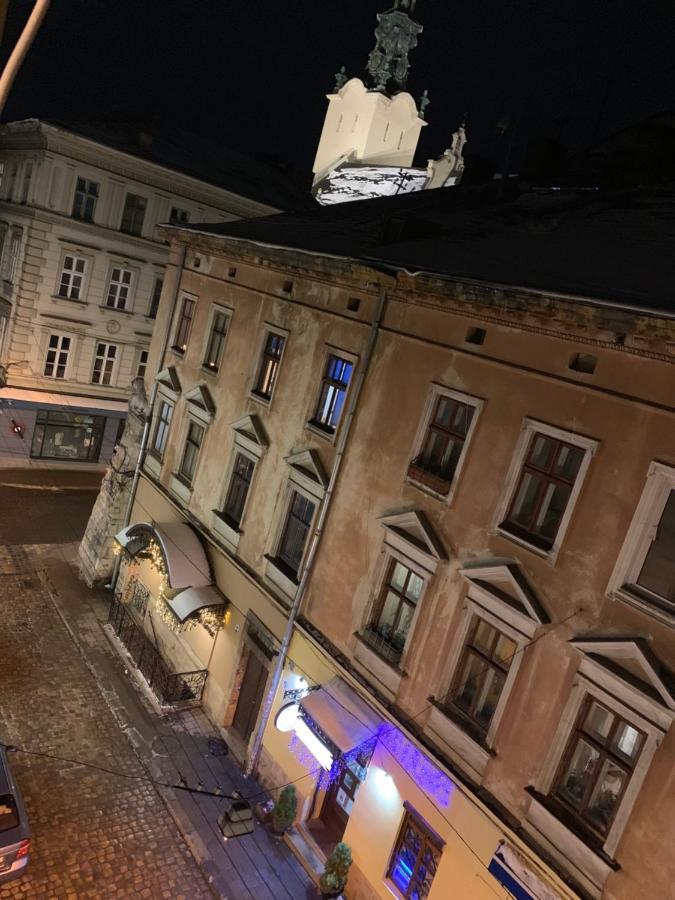 Mary Apartment Lviv Bagian luar foto